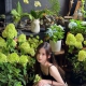 上海黄浦硬5 03年